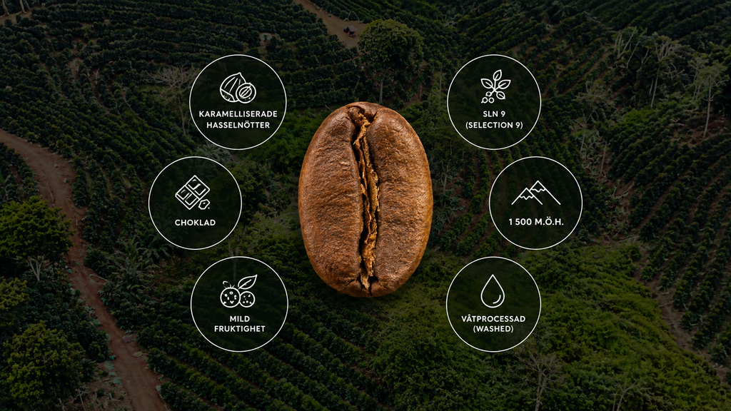 Riverdale - Mörk mellanrost (250g)