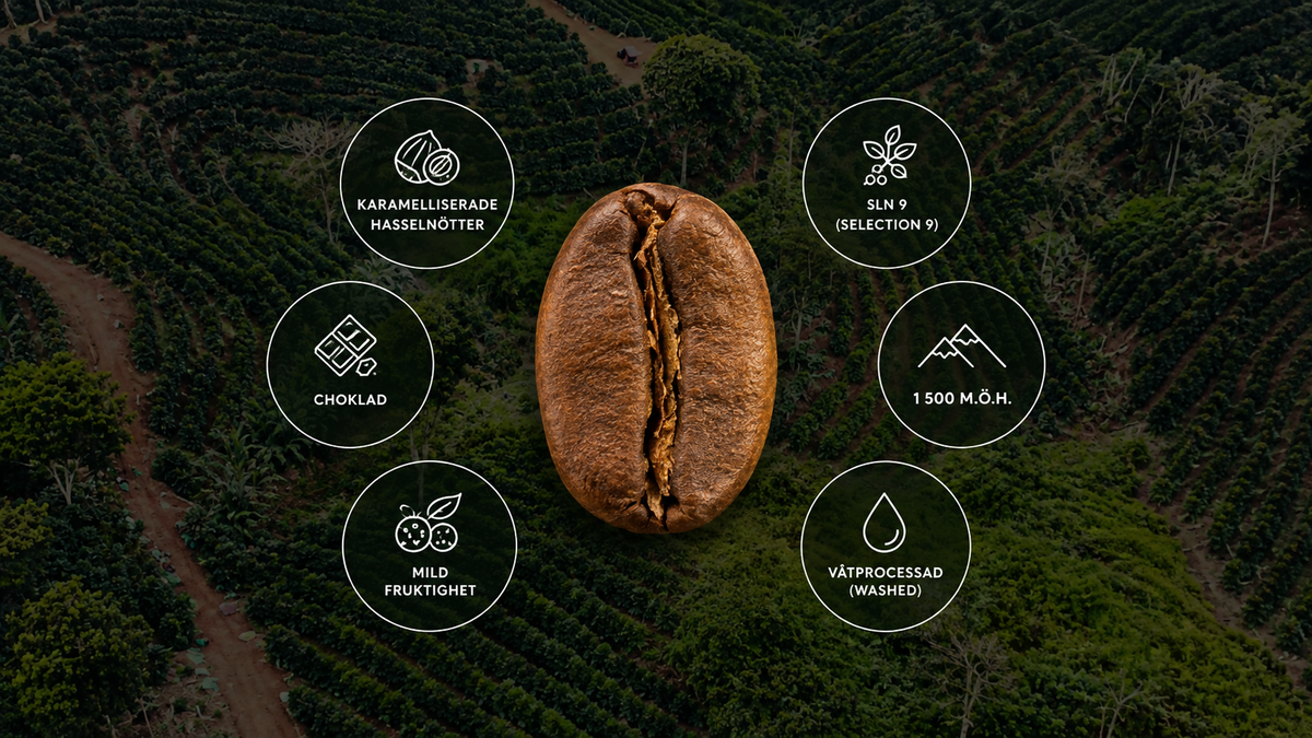 Riverdale - Mörk mellanrost (250g)
